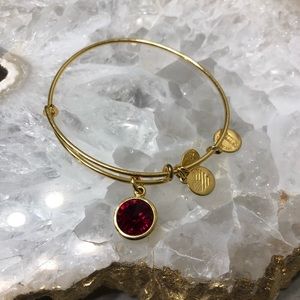 Alex and Ani January Garnet bracelet
